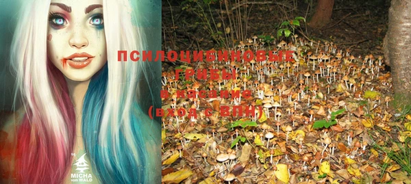винт Белоозёрский